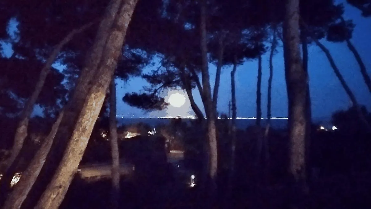 شقة Monolocale Stintino 3 Posti Letto Con Giardino Petfriendly إيطاليا