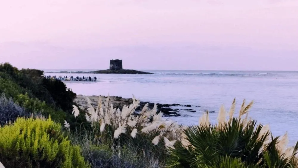 شقة Monolocale Stintino 3 Posti Letto Con Giardino Petfriendly إيطاليا